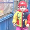 В селе на Кировоградщине живет лишь один ребенок