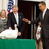 Обама "помиловал" индюшек, доставленых в Белый дом на День благодарения