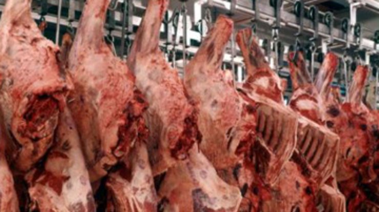 Ученые подтвердили безопасность мяса клонированного скота