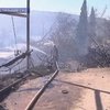 Лесной пожар в Израиле взят под контроль