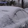 Ближний Восток замело снегом