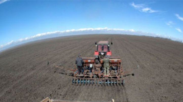 Банковая: Продажу сельхозземель разрешат до лета-2011