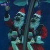 К рыбам Шанхайского океанариума пришел Санта Клаус