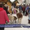 В Чехии провели рождественские ярмарки