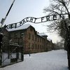 Германия перечислила 60 миллионов евро музею Освенцима