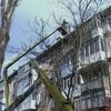 В Кировограде на жилой дом упал тополь