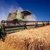 МВФ требует от Украины "подогнать" рынок зерна под правила ВТО
