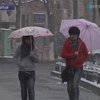 На севере Китая выпал обильный снег