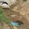 Черновицкая мусоросвалка отравляет местных жителей