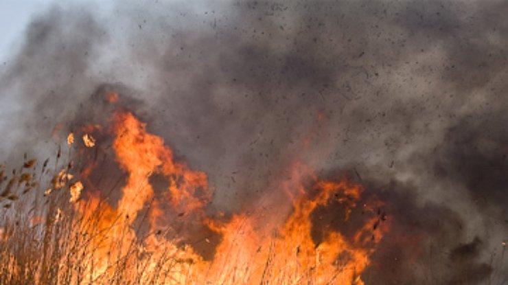 На Черниговщине загорелись 70 гектаров камыша