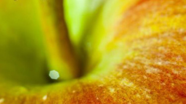 Яблочный сок защитит от атеросклероза