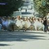 В Черновцах прошел забег в свадебных платьях