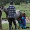 В Киргизстане туроператоры разрабатывают "молочные туры"