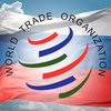 Переговоры по ВТО между РФ и Грузией продолжатся  20 октября