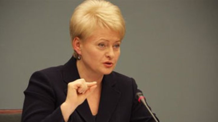 Президент Литвы посоветовала Азарову "не плакаться"
