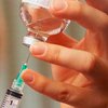 Немцы сожгут вакцину против "свиного" гриппа