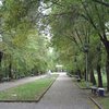 Парк "Юность" на Борщаговке в Киеве может стать памятником искусства