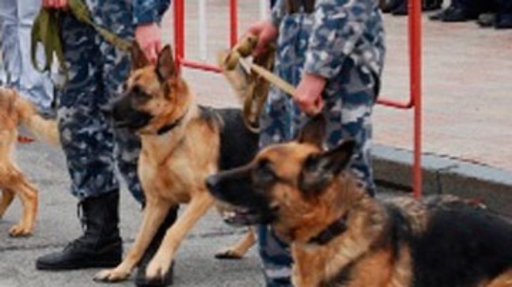 Перед встречей с Януковичем чернобыльцев обнюхали собаки
