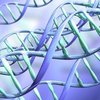 Власти США выделили медикам полмиллиарда на развитие геномной медицины