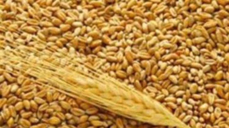 Украинские аграрии собрали рекордный урожай зерна
