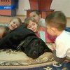 Ровненского пса приобщили к детской терапии