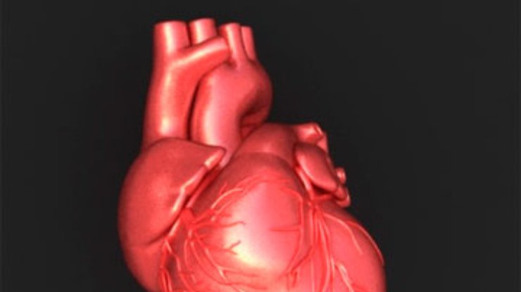 Сердечный пульс расскажет о состоянии здоровья