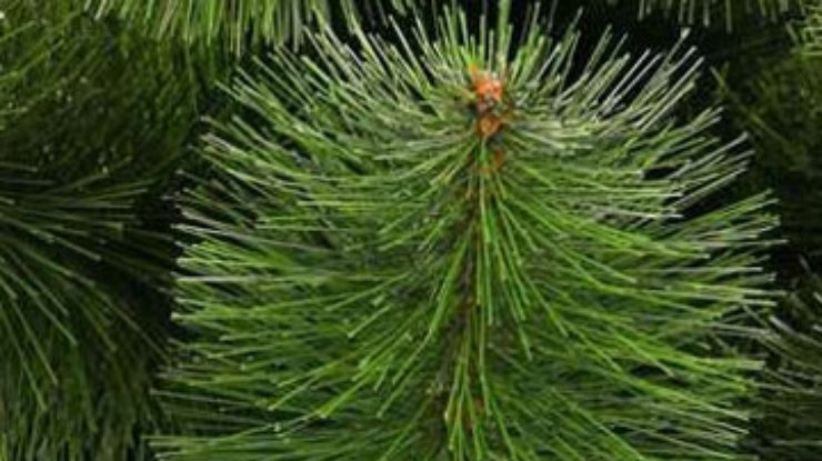 Искусственные елки не спасают природу - "Гринпис"