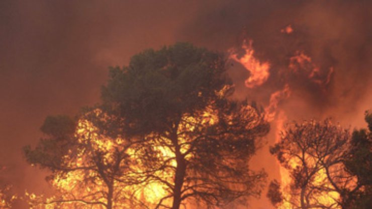 В Чили продолжают бушевать лесные пожары