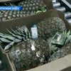 СБУ задержала в Ильичевском порту партию кокаина в ананасах