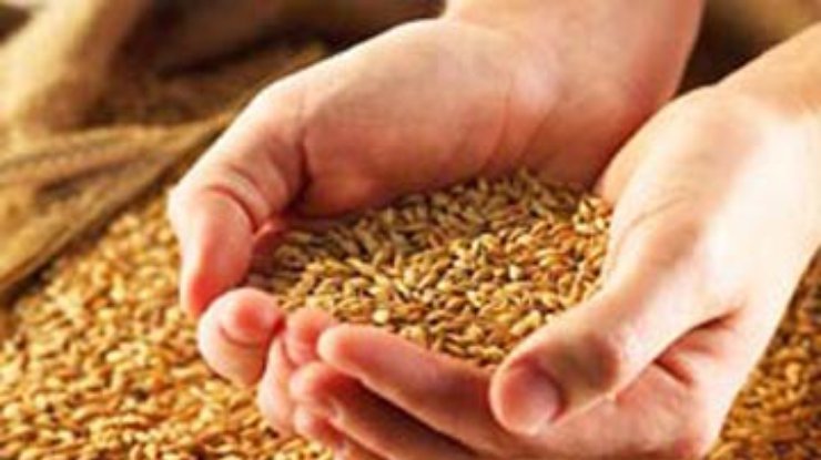 Погода затрудняет экспорт зерна из Украины – Минагропрод