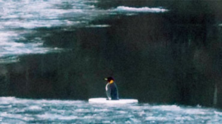 Немецкие спасатели вытащили из ледяной реки плюшевого пингвина