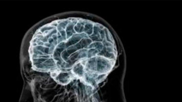 Ученые выяснили, когда мозг начинает стареть