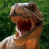 Челюсти тираннозавра оказались мощнее, чем считалось ранее