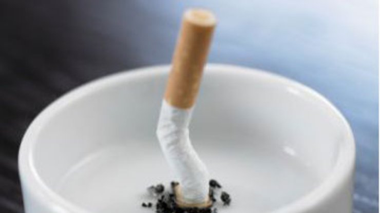 Раду просят запретить курение в кафе и ресторанах
