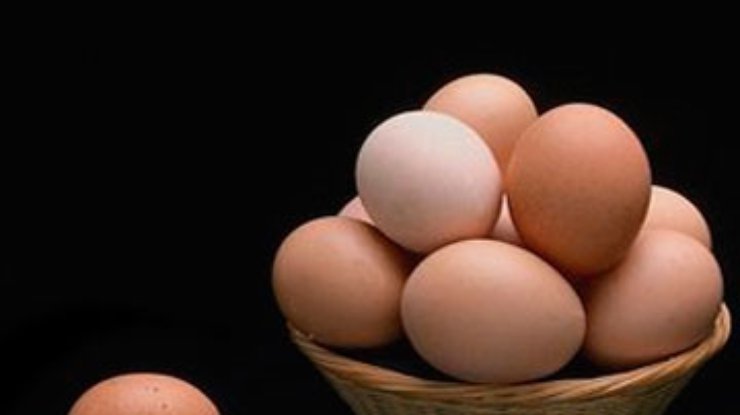 Ученые создадут специальные куриные яйца для аллергиков