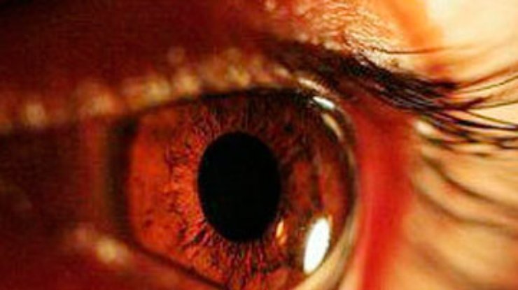 Американские ученые научились выращивать сетчатку для глаз