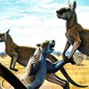 Гигантские кенгуру вымерли из-за влияния австралийских аборигенов