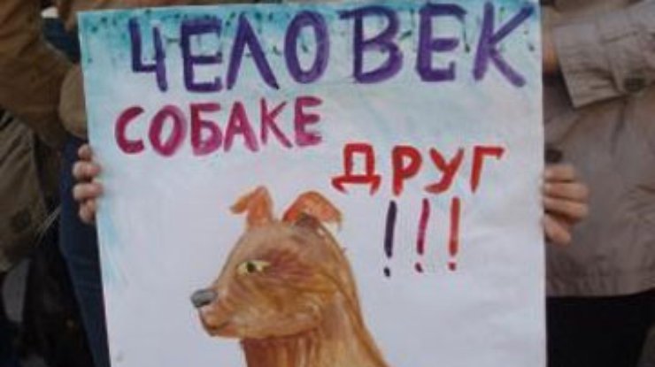 Харьковчане призвали Кернеса не убивать собак
