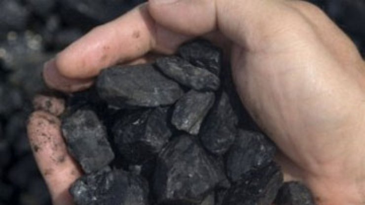 На Тайване сократили продажу угля: Слишком много суицидов