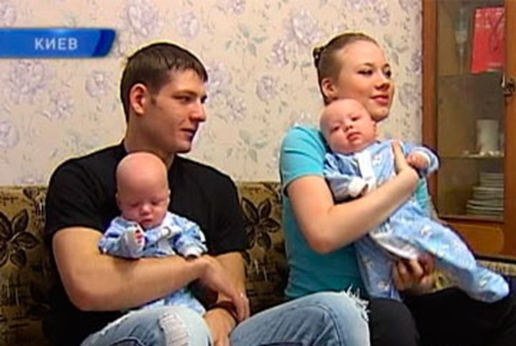 насекомое Что положено родителям тройни очень напоминали