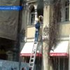 В центре Одессы пожарные спасли собаку