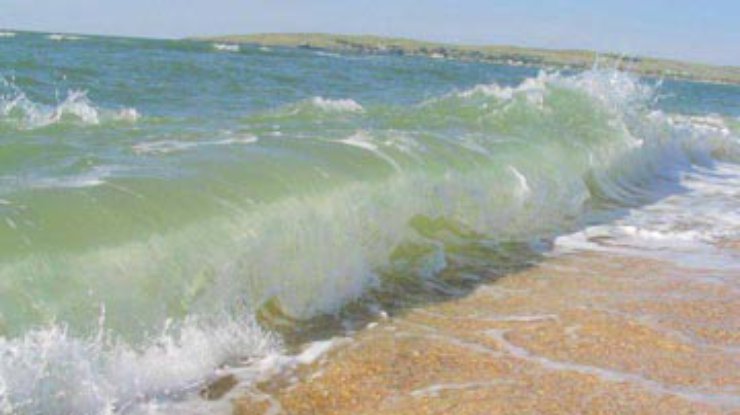 Побережье Азовского моря очистили от погибшей рыбы