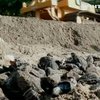 Из-за строительных работ в Тринидаде и Тобаго уничтожают редких черепах