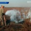 В Ривненской области в четвертый раз горят торфяники