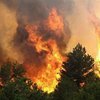 На Херсонщине трактористы устроили лесной пожар
