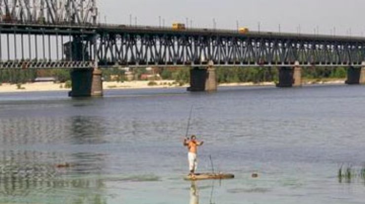 На киевских пляжах нельзя купаться из-за гниющей рыбы - СМИ