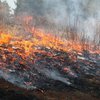 В Херсонской области сгорело 100 гектаров травы
