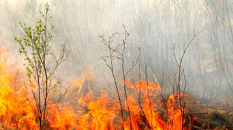 На Херсонщине лесные пожары тушат почти 1800 человек