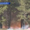Пожары на Херсонщине потушены - МЧС