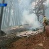 В Косово из-за жары горят сосновые леса